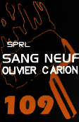 Sang Neuf sprl – Olivier Carion - Travaux de construction